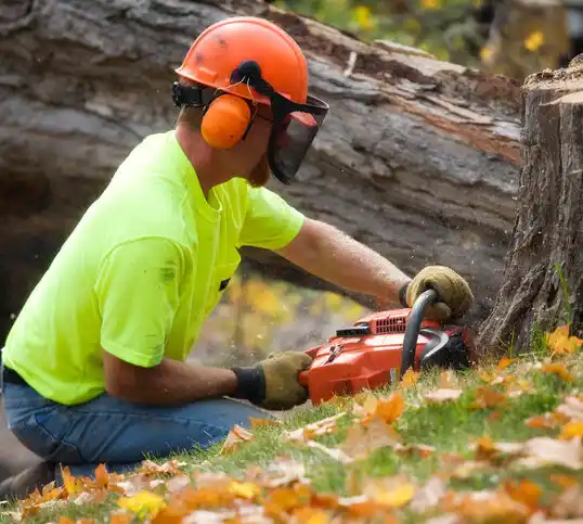 tree services Carnuel